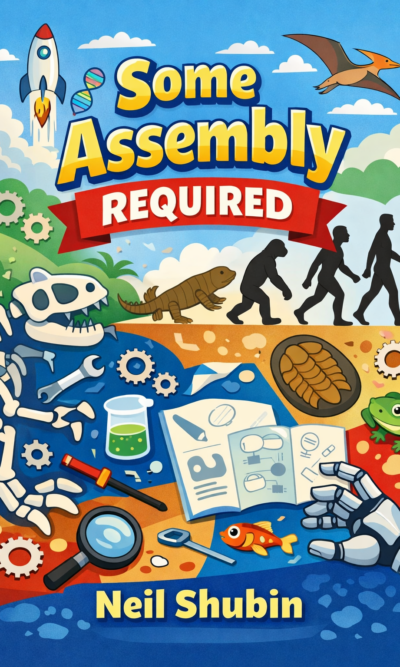 Some Assembly Required